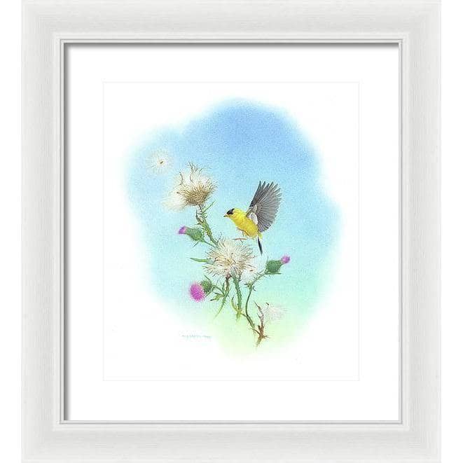 Goldfinch - Framed Print | Artwork by Glen Loates