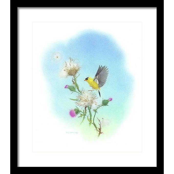 Goldfinch - Framed Print | Artwork by Glen Loates