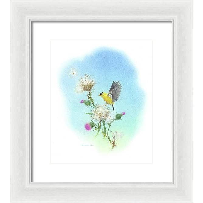 Goldfinch - Framed Print | Artwork by Glen Loates