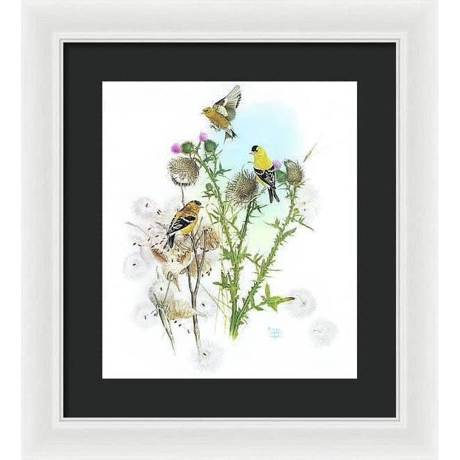 Goldfinches on Thistle - Framed Print | Artwork by Glen Loates