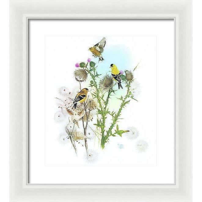 Goldfinches on Thistle - Framed Print | Artwork by Glen Loates