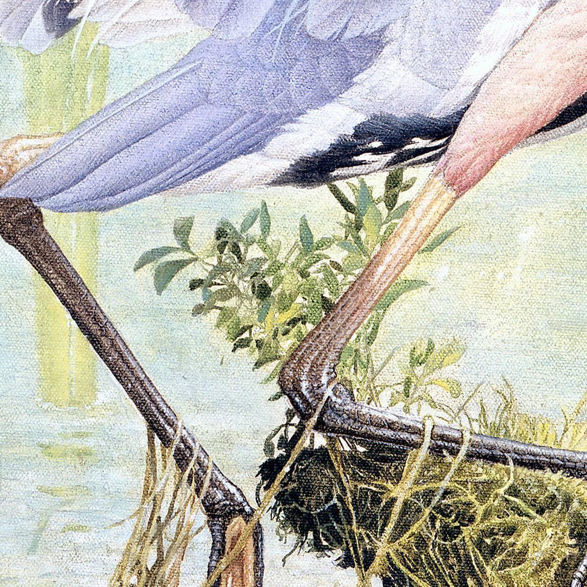 Great Blue Heron - Art Print | Artwork by Glen Loates