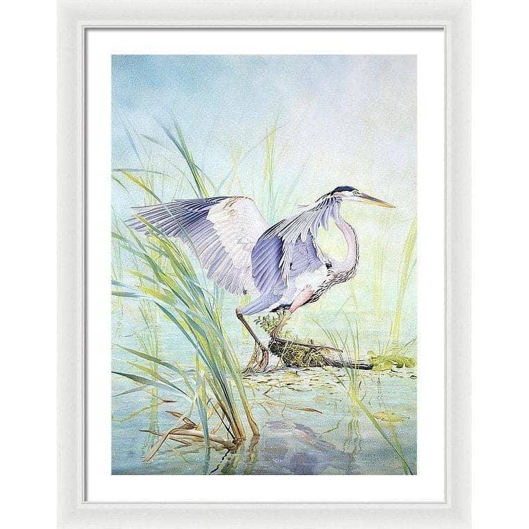 Great Blue Heron - Framed Print | Artwork by Glen Loates