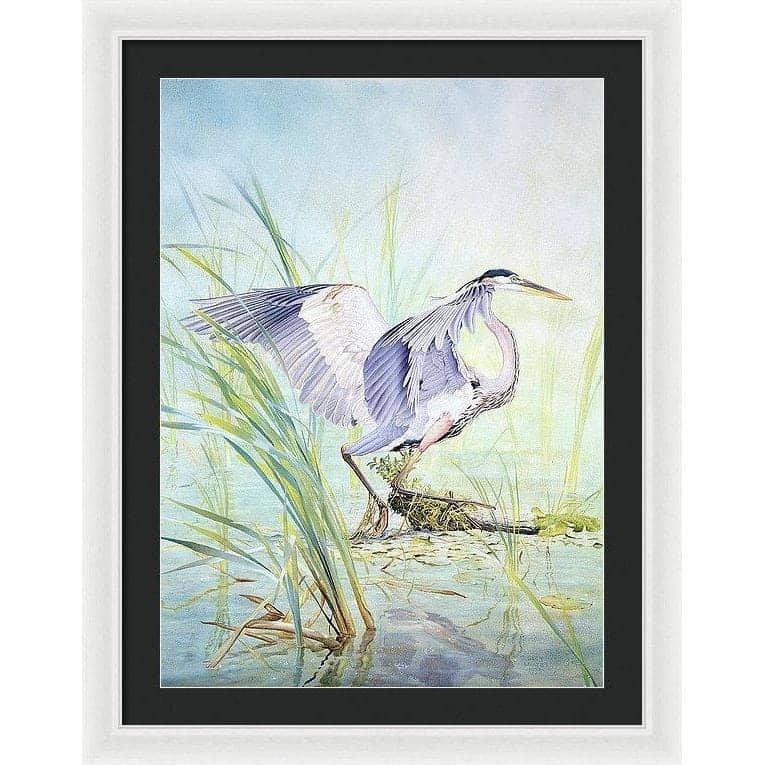 Great Blue Heron - Framed Print | Artwork by Glen Loates