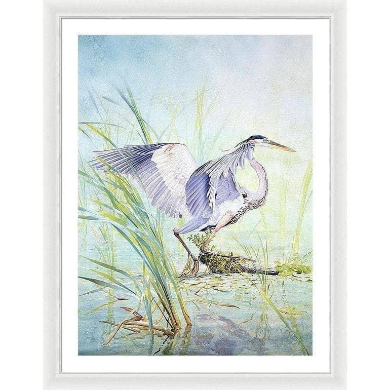 Great Blue Heron - Framed Print | Artwork by Glen Loates