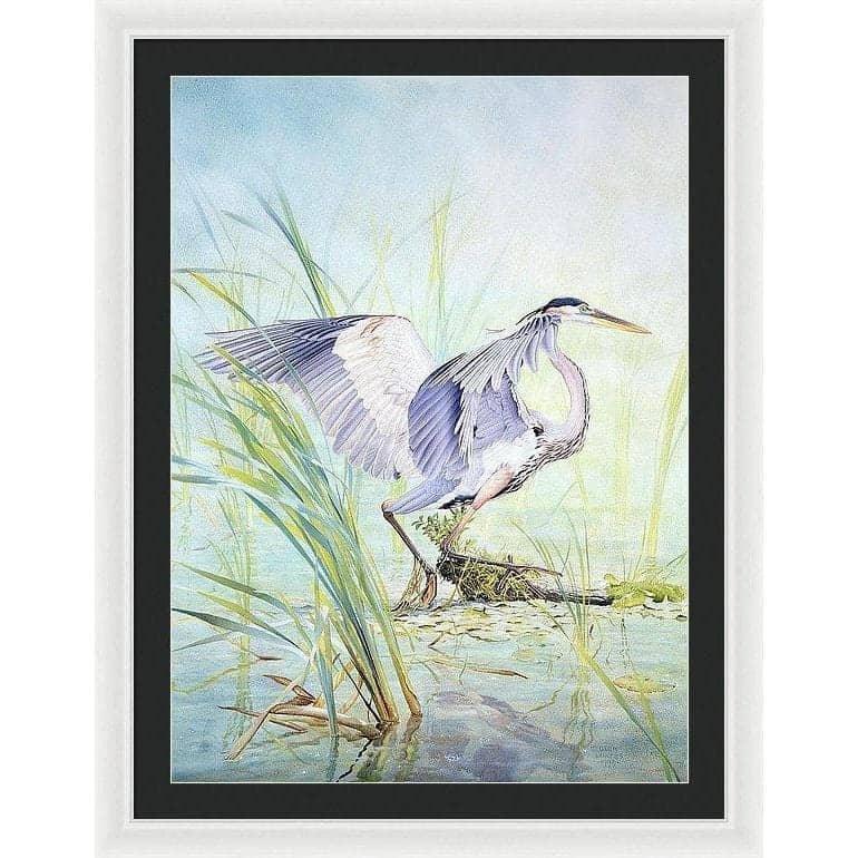 Great Blue Heron - Framed Print | Artwork by Glen Loates