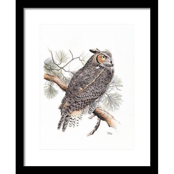 Great-Horned Owl - Framed Print | Artwork by Glen Loates