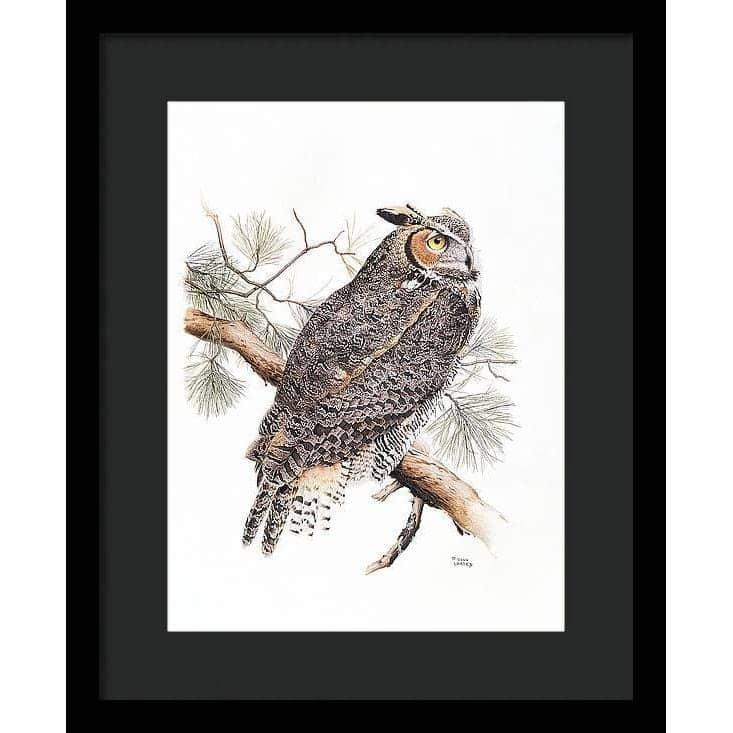 Great-Horned Owl - Framed Print | Artwork by Glen Loates