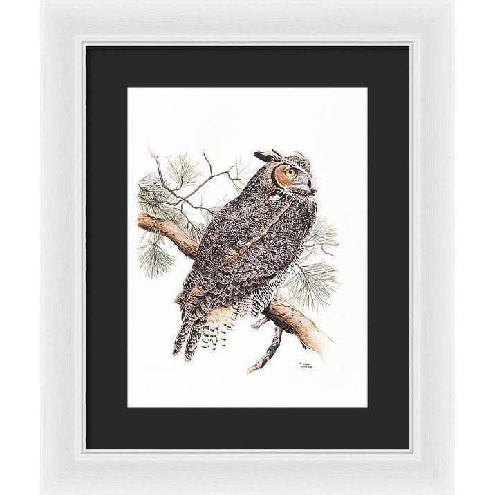 Great-Horned Owl - Framed Print | Artwork by Glen Loates