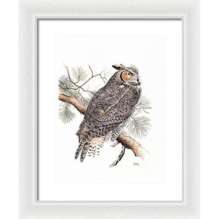 Great-Horned Owl - Framed Print | Artwork by Glen Loates