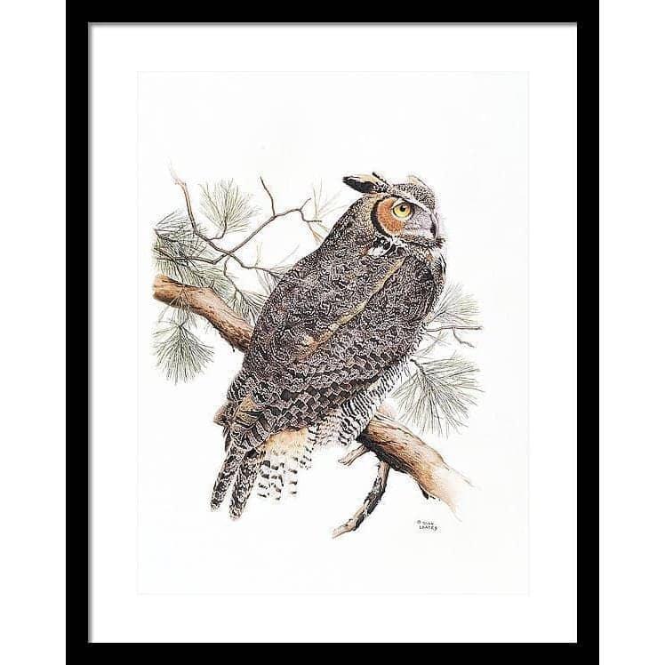 Great-Horned Owl - Framed Print | Artwork by Glen Loates