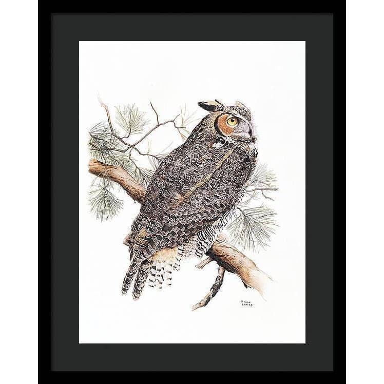 Great-Horned Owl - Framed Print | Artwork by Glen Loates