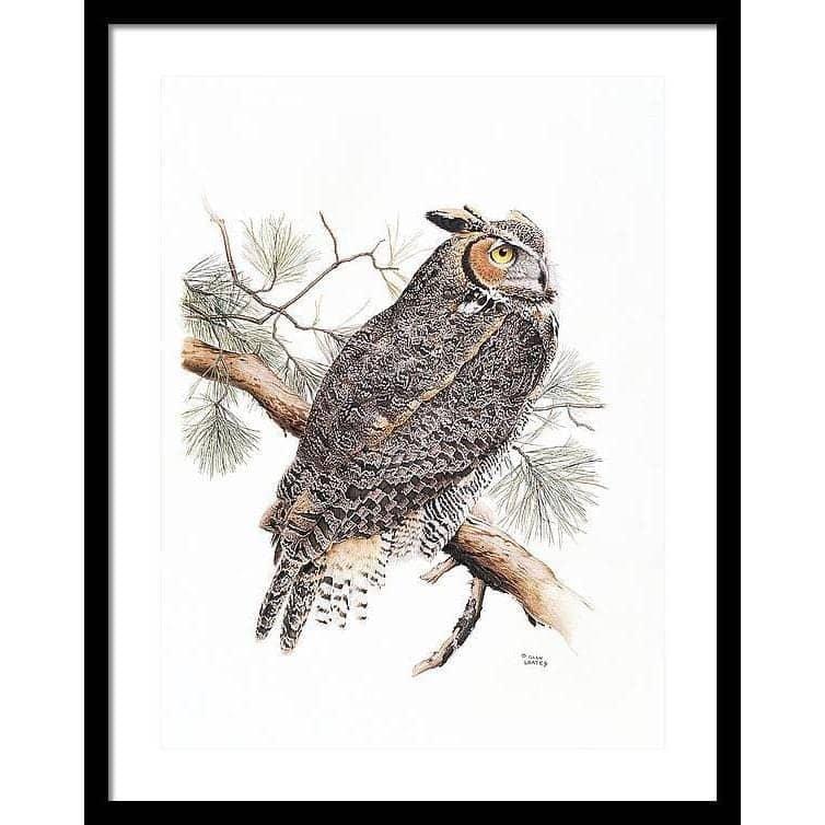 Great-Horned Owl - Framed Print | Artwork by Glen Loates