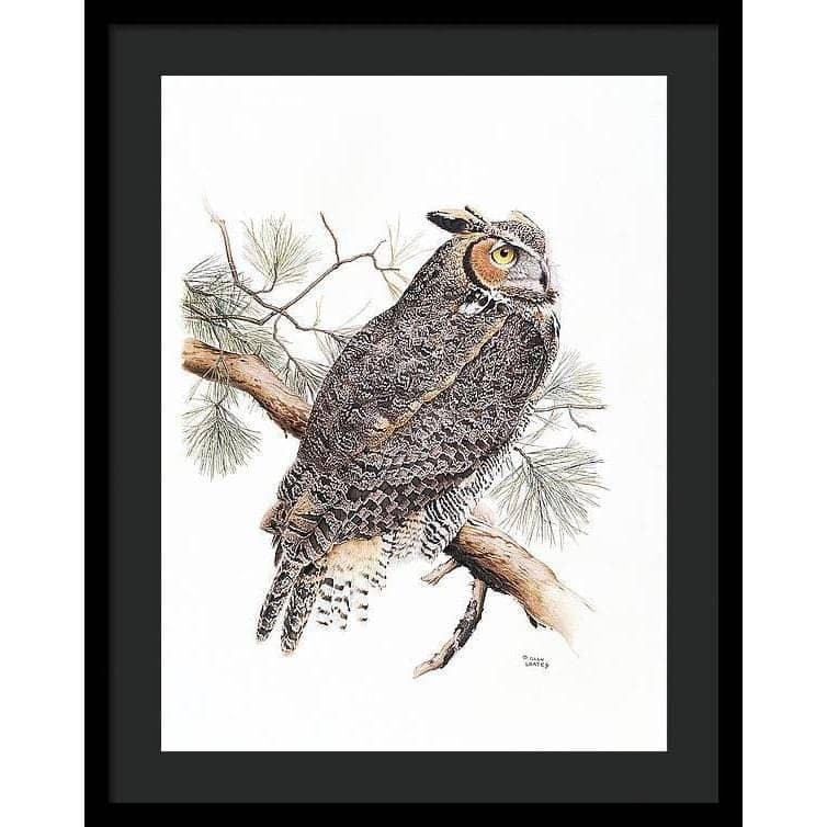 Great-Horned Owl - Framed Print | Artwork by Glen Loates