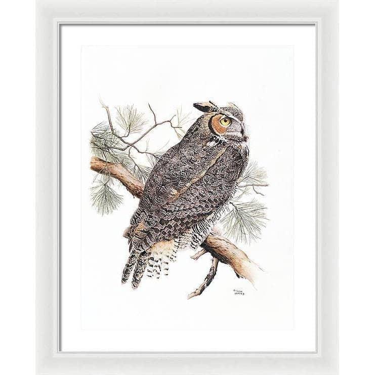 Great-Horned Owl - Framed Print | Artwork by Glen Loates