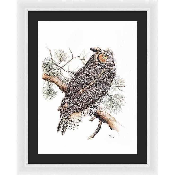 Great-Horned Owl - Framed Print | Artwork by Glen Loates