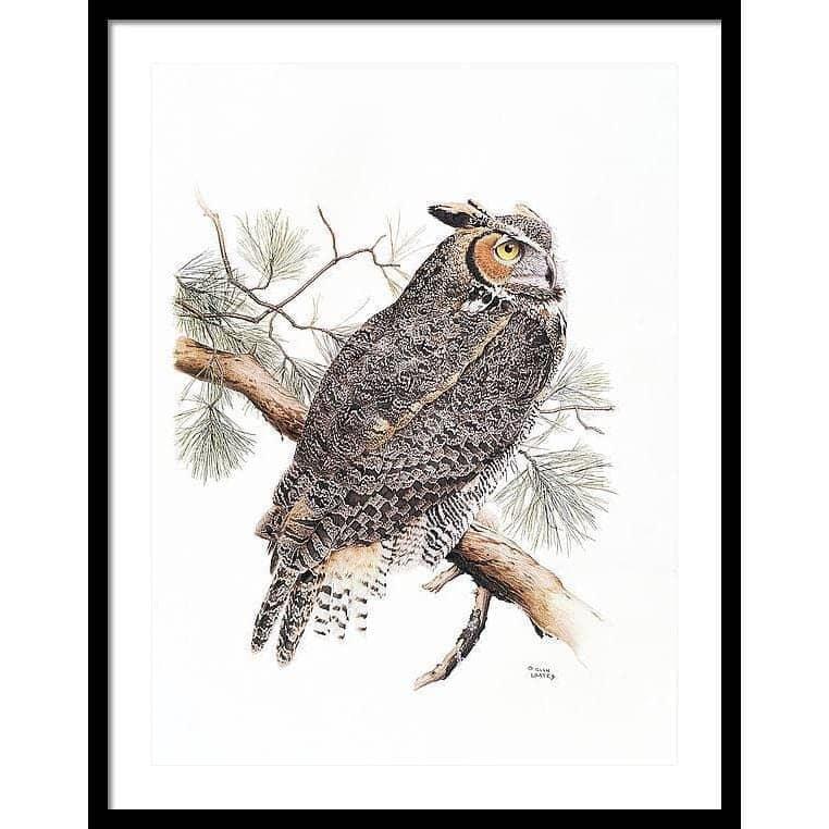 Great-Horned Owl - Framed Print | Artwork by Glen Loates