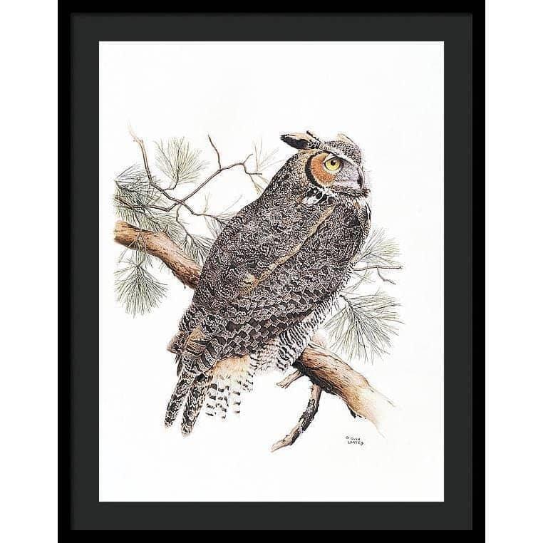 Great-Horned Owl - Framed Print | Artwork by Glen Loates