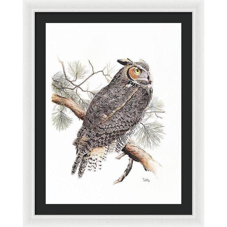 Great-Horned Owl - Framed Print | Artwork by Glen Loates