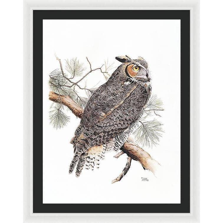 Great-Horned Owl - Framed Print | Artwork by Glen Loates