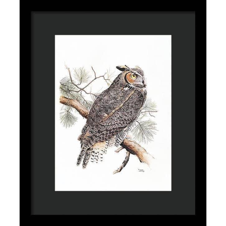 Great-Horned Owl - Framed Print | Artwork by Glen Loates