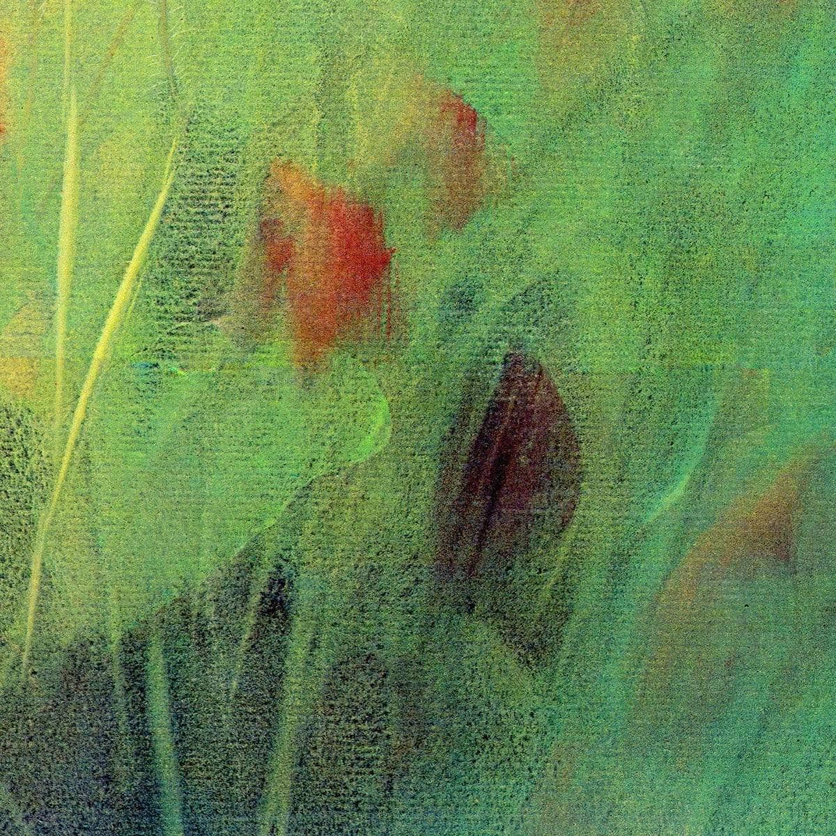 Hawkweed - Canvas Print | Artwork by Glen Loates