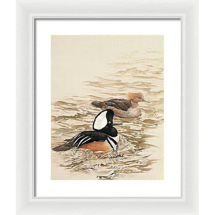 Hooded Mergansers - Framed Print | Artwork by Glen Loates