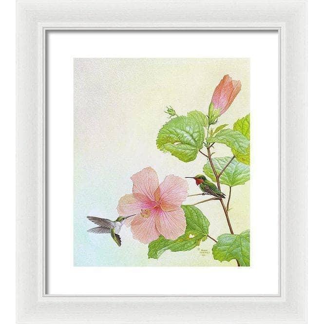 Hummingbirds and Hibiscus - Framed Print | Artwork by Glen Loates