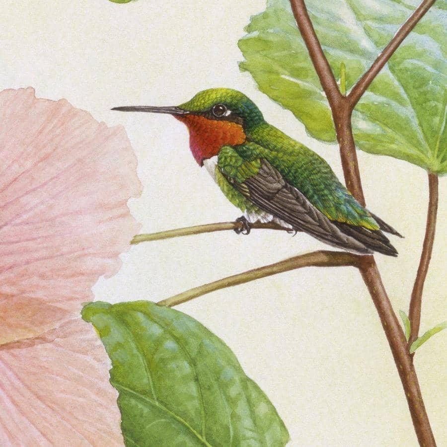 Hummingbirds and Hibiscus - Framed Print | Artwork by Glen Loates