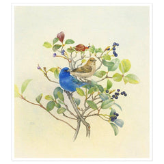 Giclée on Paper