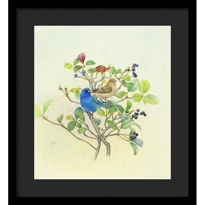 Indigo Buntings - Framed Print | Artwork by Glen Loates