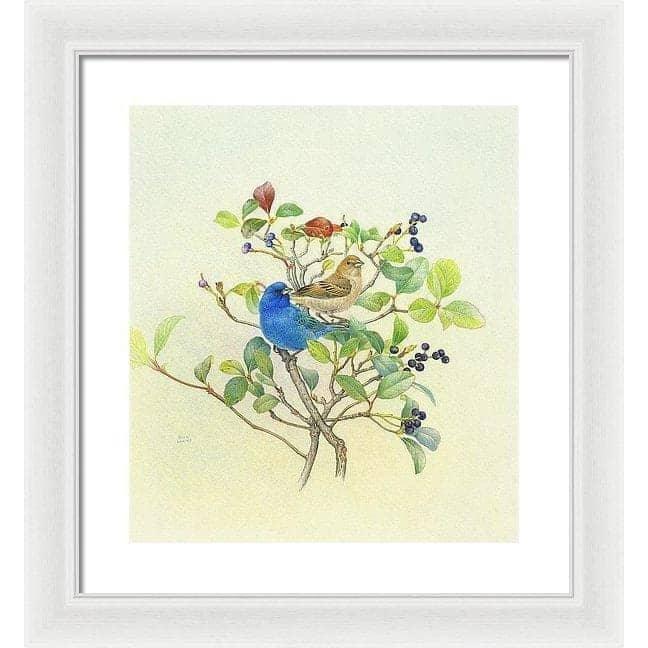 Indigo Buntings - Framed Print | Artwork by Glen Loates