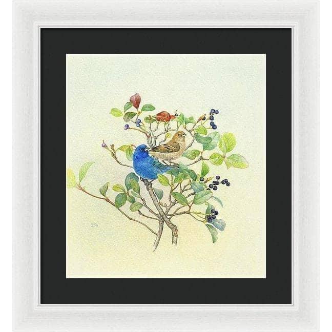 Indigo Buntings - Framed Print | Artwork by Glen Loates