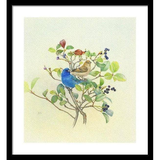 Indigo Buntings - Framed Print | Artwork by Glen Loates