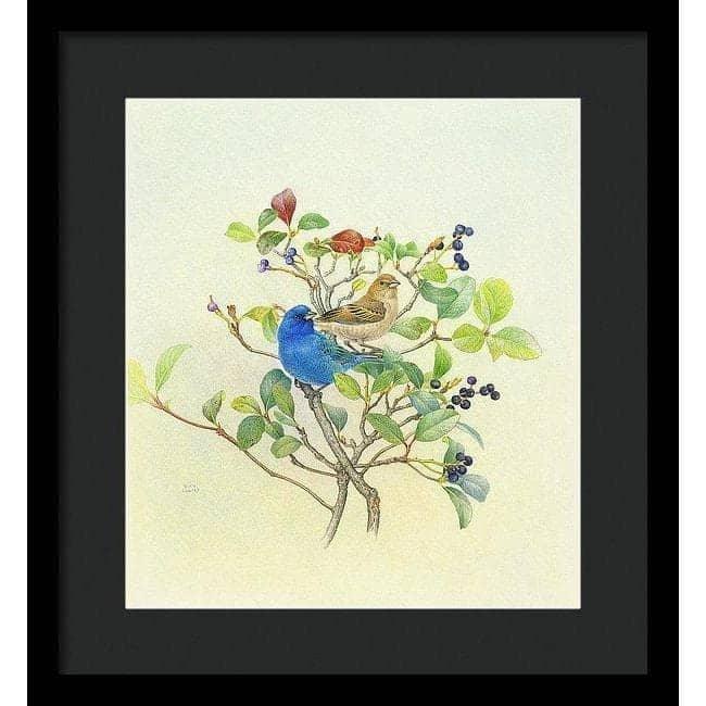 Indigo Buntings - Framed Print | Artwork by Glen Loates