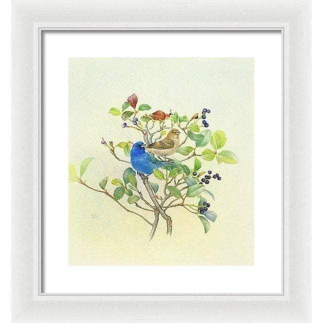 Indigo Buntings - Framed Print | Artwork by Glen Loates