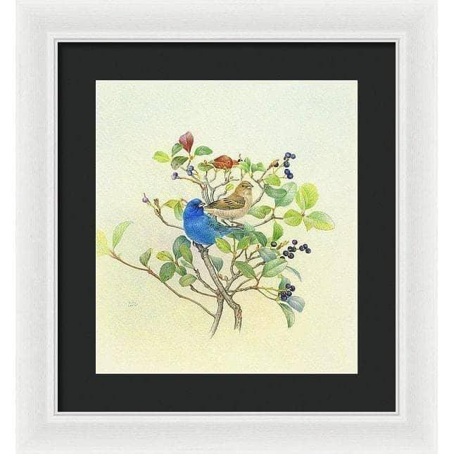 Indigo Buntings - Framed Print | Artwork by Glen Loates