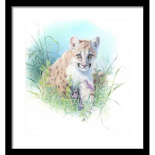Inquisitive - Framed Print | Artwork by Glen Loates