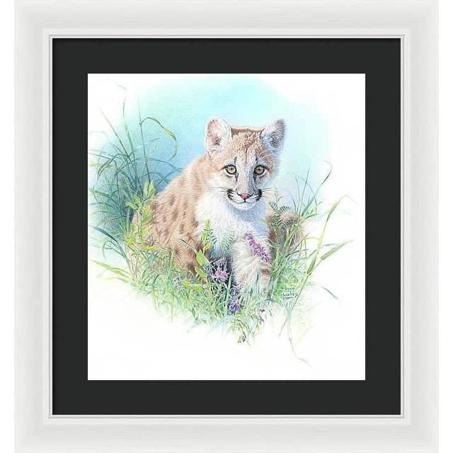 Inquisitive - Framed Print | Artwork by Glen Loates