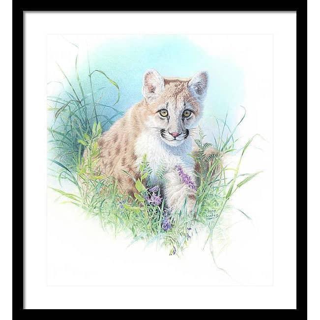 Inquisitive - Framed Print | Artwork by Glen Loates