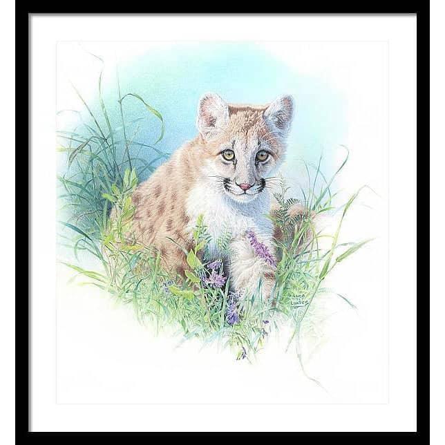 Inquisitive - Framed Print | Artwork by Glen Loates