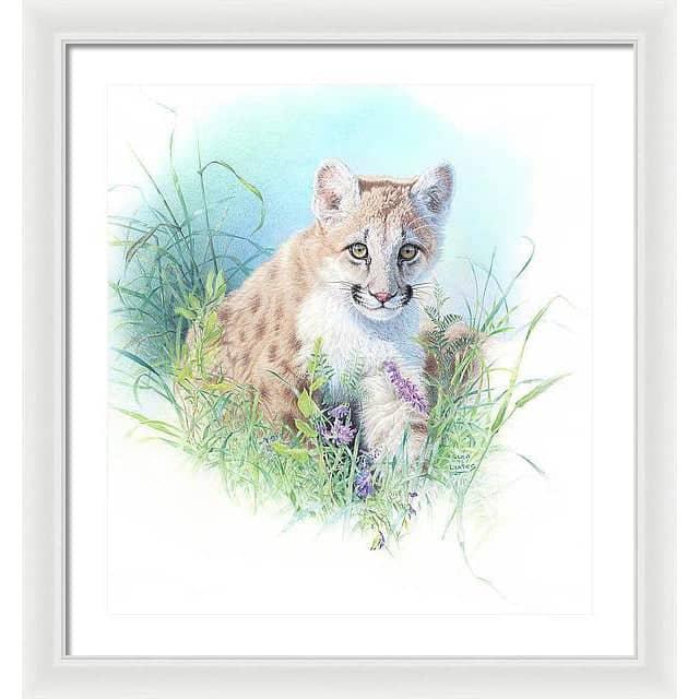 Inquisitive - Framed Print | Artwork by Glen Loates