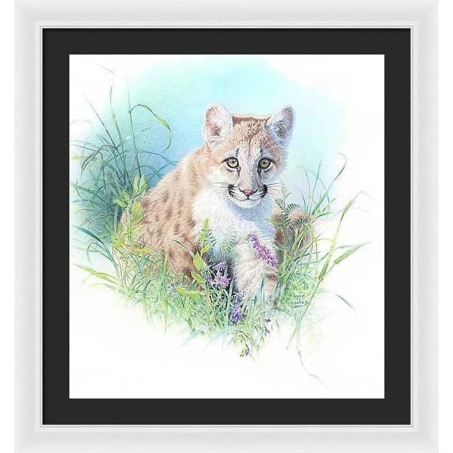 Inquisitive - Framed Print | Artwork by Glen Loates