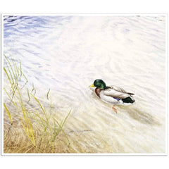Giclée on Paper