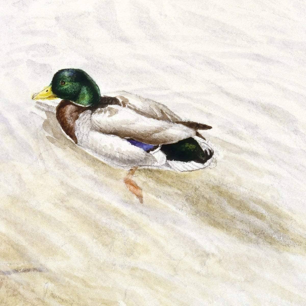 Into The Shallows - Art Print | Artwork by Glen Loates