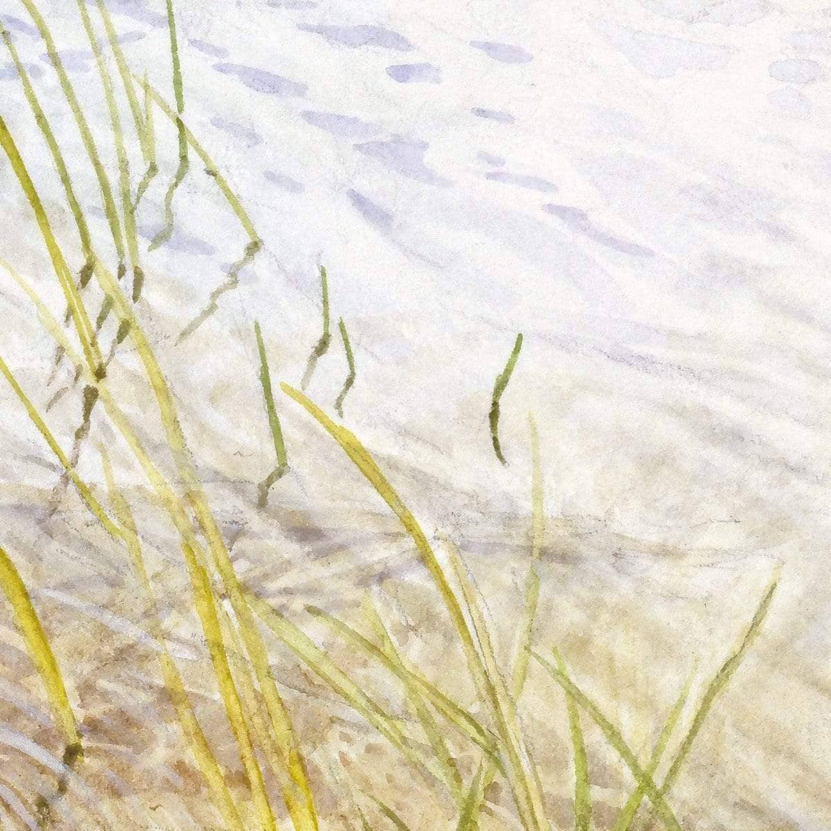Into The Shallows - Canvas Print | Artwork by Glen Loates