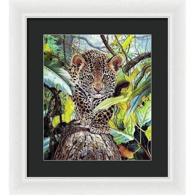 Jaguar Cub - Framed Print | Artwork by Glen Loates