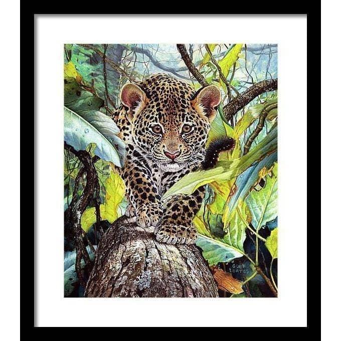 Jaguar Cub - Framed Print | Artwork by Glen Loates