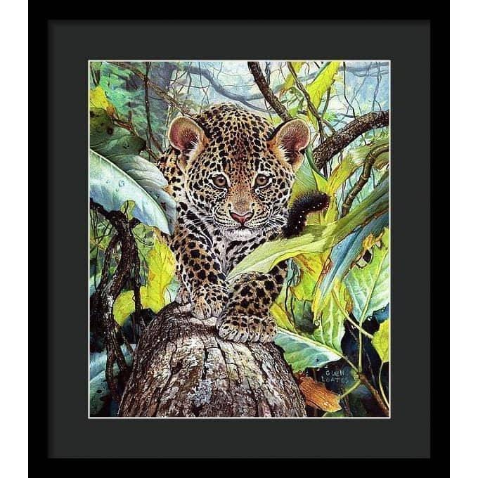 Jaguar Cub - Framed Print | Artwork by Glen Loates
