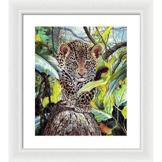 Jaguar Cub - Framed Print | Artwork by Glen Loates